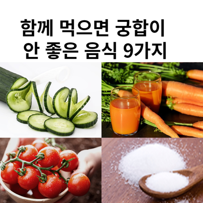 음식궁합