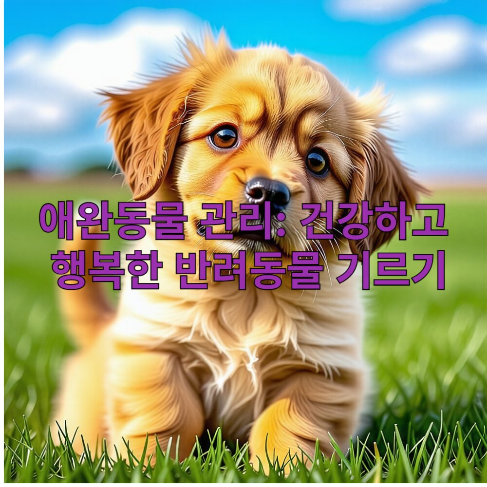 애완동물