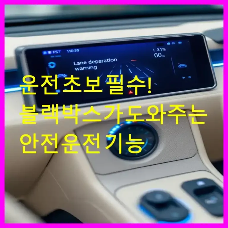 운전 초보 필수! 블랙박스