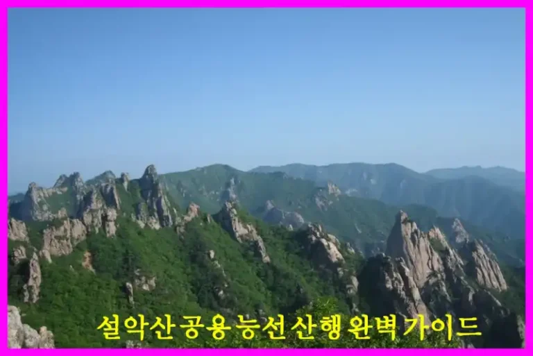 설악산 공용 능선 산행 완벽 가이드