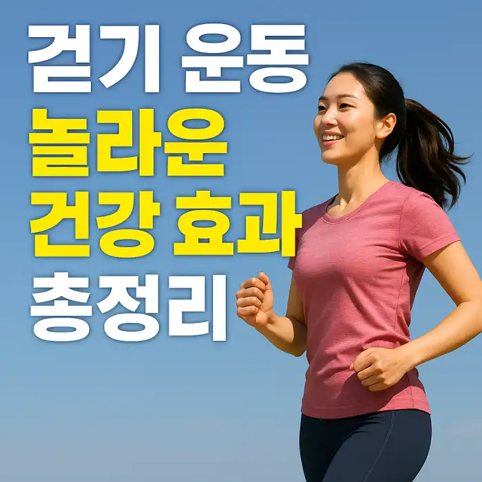 걷기 운동의 놀라운 건강 효과 총정리