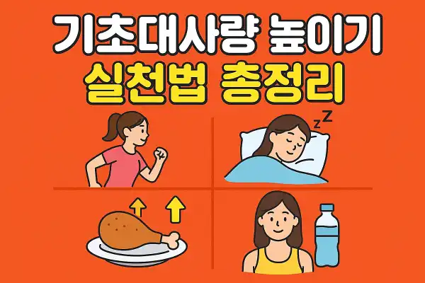 기초대사량 높이기 실천법 총정리