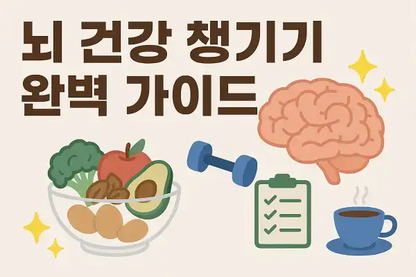뇌 건강 챙기기 완벽 가이드