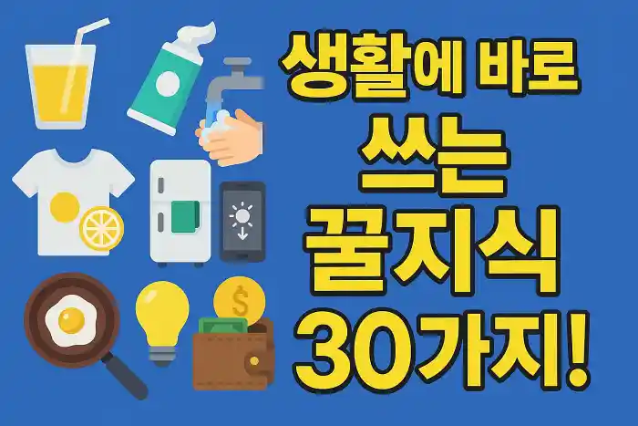 생활에 바로 쓰는 꿀지식 30가지!