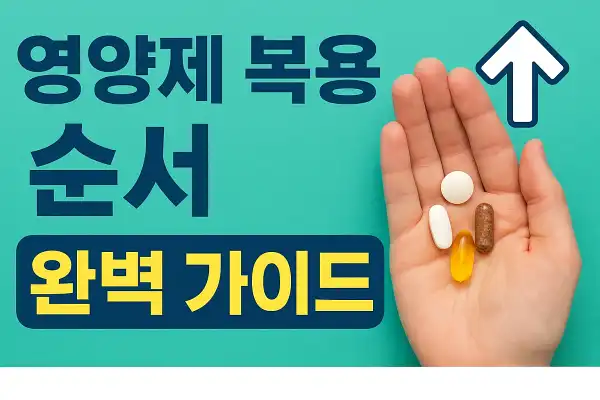 영양제 복용 순서 완벽 가이드