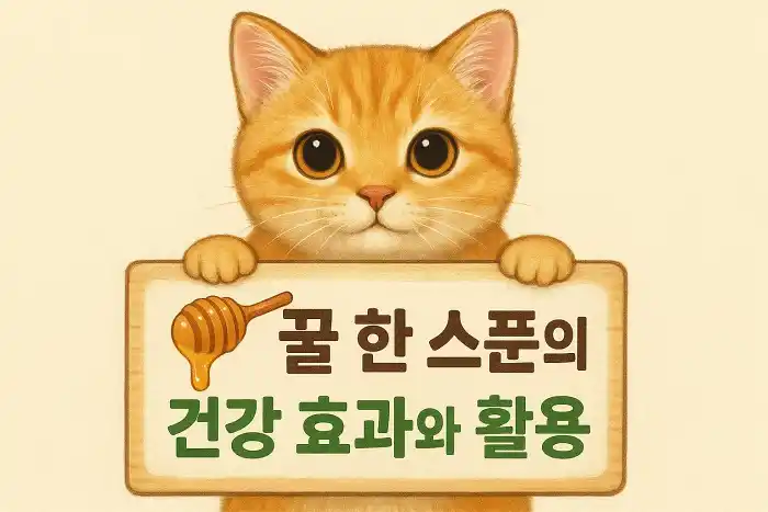 꿀 한 스푼의 건강 효과와 활용 꿀팁