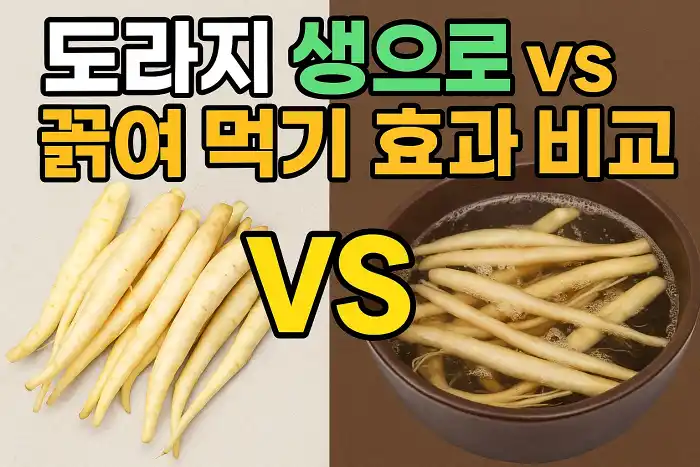 도라지 생으로 vs 끓여 먹기 효과 비교