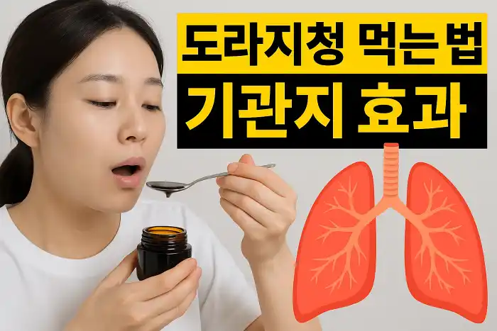 도라지청 먹는 법과 기관지 효과의 핵심