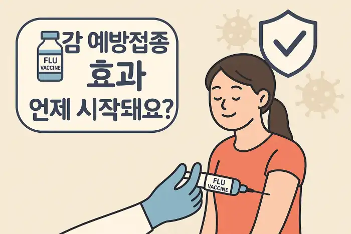 독감 예방접종 효과 언제 시작돼요?