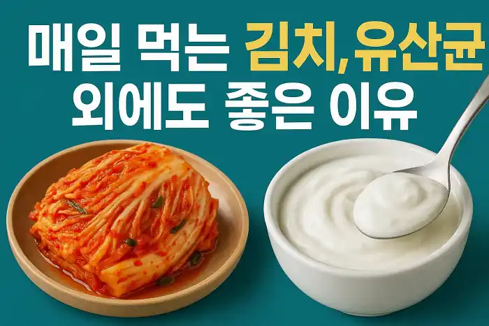 매일 먹는 김치, 유산균 외에도 좋은 이유