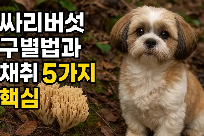 싸리버섯 구별법과 채취 5가지 핵심