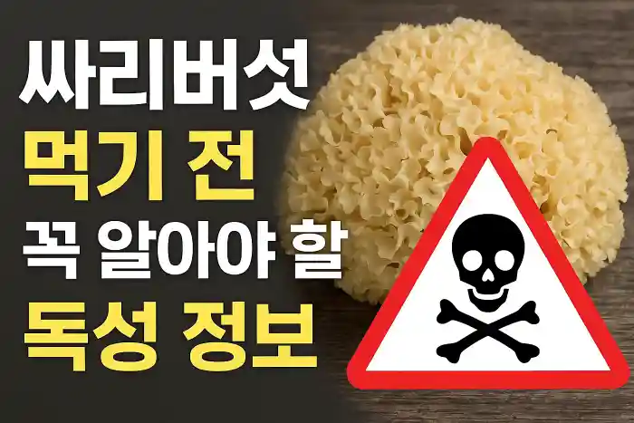 싸리버섯 먹기 전 꼭 알아야 할 독성 정보