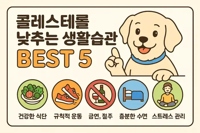 콜레스테롤 낮추는 생활습관 BEST 5