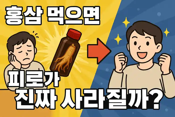 홍삼 먹으면 피로가 진짜 사라질까?