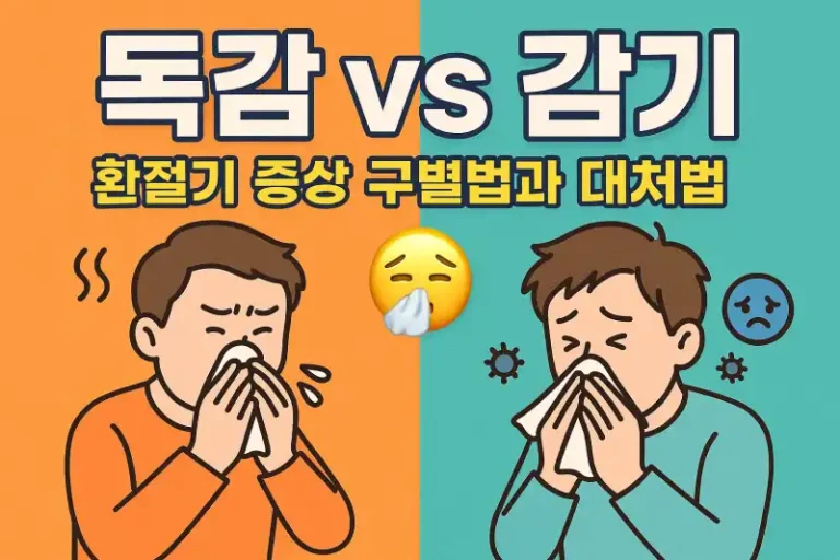 독감 vs 감기 환절기 증상 구별법과 대처법
