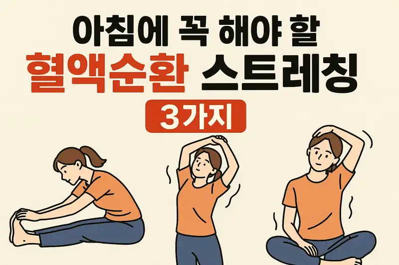 아침에 꼭 해야 할 혈액순환 스트레칭 3가지