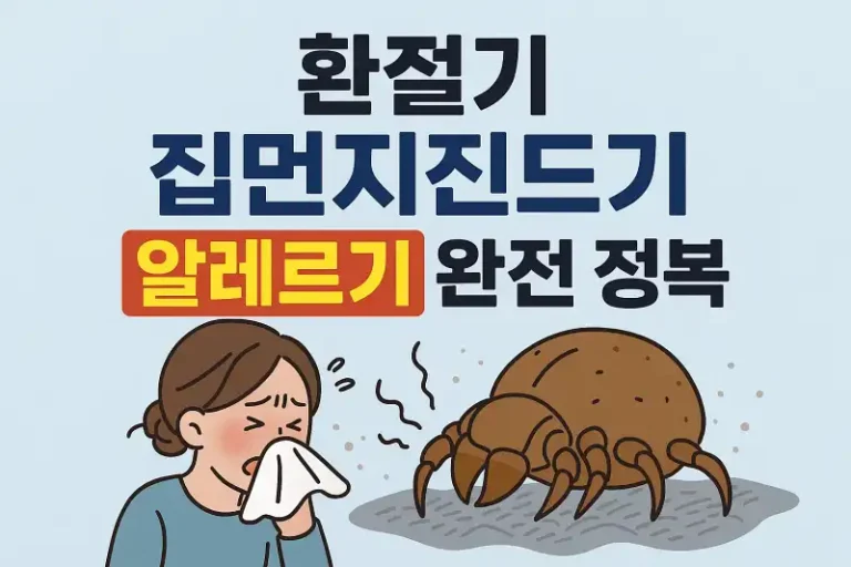 환절기 집먼지진드기 알레르기 완전 정복