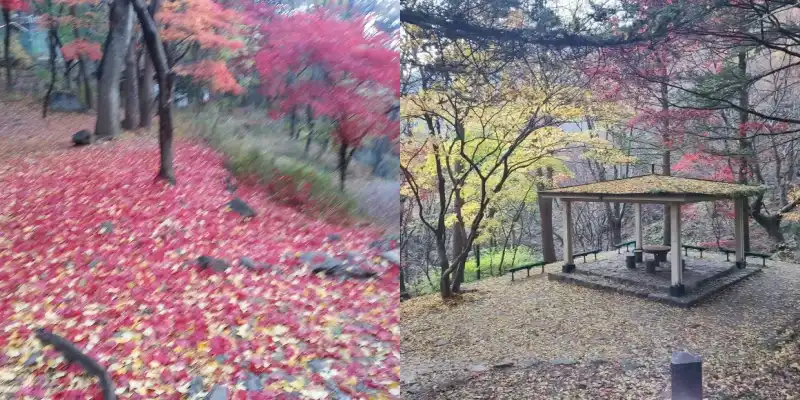 해운사 입구