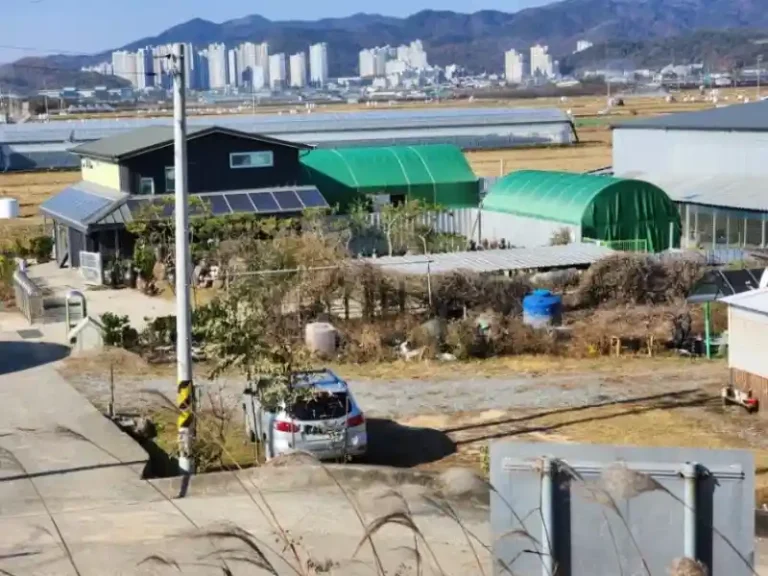 일시적 2주택 비과세 요건, 3년 안에 못 팔면 세금 폭탄? 직접 겪은 실수와 정리